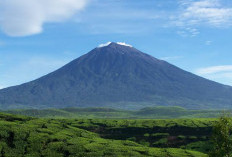 Aroma Melati di Tengah Hutan, Fenomena Mistis Gunung Kerinci!