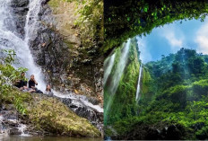 5 Air Terjun di Lombok yang Siap Menyegarkan Liburanmu!