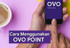 Saldo OVO Gratis? Ini Dia Cara Mudah Dapatkan dengan OVO Points!