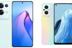  Jangan Sampai Ketinggalan! 6 Rekomendasi HP OPPO Murah dengan Performa Cepat, RAM 8 GB Mulai Rp2 Jutaan 2026