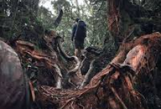 Ngeri!!! cerita Mistis Gunung Sibuatan, Karo Sumatera Utara