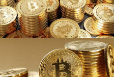 Bitcoin di 2024, Antisipasi Kenaikan Harga Pasca-Halving dan Panduan Pembelian bagi Pemula!