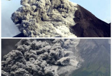 Ganasnya Wedhus Gembel Merapi. Momok Menakutkan Tiap Merapi Erupsi