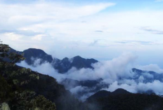 Cerita Hilangnya Pendaki dan Misteri Makhluk Gaib di Gunung Mekongga