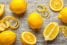 Apakah Lemon Baik Untuk Pencernaan? Yuk Simak 5 Santapan Segar Dibalik Kecilnya Buah Lemon!