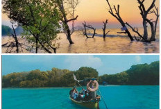Pantai Ciwerang, Surga Tersembunyi dengan Pesona Alam yang Menenangkan