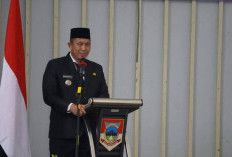 Bangun Pagar Alam dengan Kompak dan Solid
