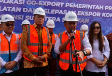 Karantina RI: GoExport Sumsel Jadi Model Nasional Ketelusuran Ekspor