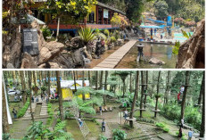 Jelajahi Keindahan Salatiga! 7 Destinasi Wisata Terbaru yang Siap Memikat Hati Wisatawan