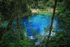 Keren Banget, Inilah 7 Tempat di Jambi yang Jadi Magnet Wisatawan! Ada Apa? 