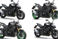 Harga Terbaru Kawasaki Z7 2026 Terungkap, Motor Naked Sport Ini Ternyata Lebih Terjangkau dari Perkiraan!