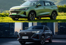 Changan Nevo Q05 Segera Hadir! Siap Tantang Dominasi BYD Atto 2 di Pasar Mobil Listrik Tanah Air