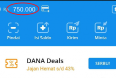 Selamat! Nomor HP Anda Dapat Saldo DANA Rp800.000, Ini Cara Klaim yang Benar!