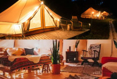 Pilihan Glamping Keluarga, Serunya Berkemah Mewah di Alam!