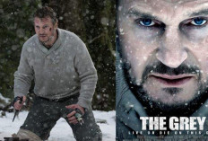 Sinopsis Film The Grey: Perjuangan Liam Nelson Bertahan Hidup di Belantara Alaska