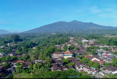 Pendakian Gunung Pati: Menyusuri Keindahan Alam di Tengah Kesunyian