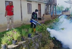 Cegah DBD, Puskesmas dan Kelurahan Lubuk Buntak Lakukan Fogging Serentak