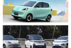 Pilihan Cerdas Keluarga Muda Zaman Now Mobil Listrik Hemat dan Ramah Lingkungan