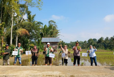 Tanam Padi Serentak di Dempo Tengah, Polri Dukung Ketahanan Pangan Nasional