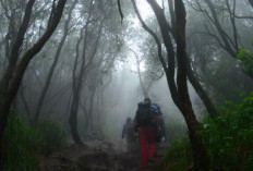 Rahasia Tersembunyi di Balik Keindahan Gunung Slamet