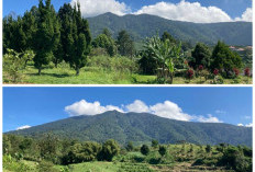 Jika Kamu Ingin Mendaki ke Gunung Halimun Kamu,Wajib Tau, Misteri Gunung Halimun Paling Mencekam!