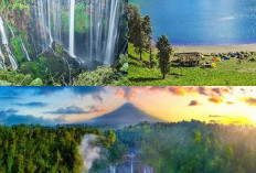 3 Destinasi Wisata di Lumajang dengan Keindahan Alam yang Menakjubkan