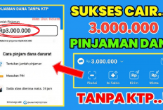 Pinjam Saldo DANA hingga Rp1 Juta! Tanpa Jaminan, Langsung Cair ke Dompet Digital!