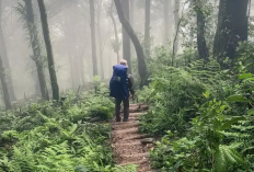 Bikin Merinding!!! Misteri Perempuan Berbaju Putih di Gunung Kencana, Berikut Ulasannya !!!