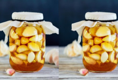 Rendaman Bawang Putih, Wajib Kalian Cobain?