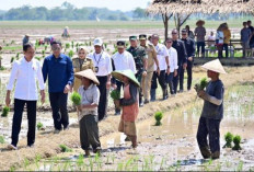 Tak Perlu Pakai Kartu Tani