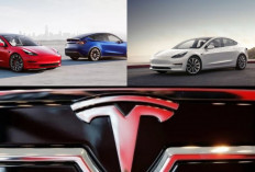 Pemilik Mobil Tesla Membagikan Tagihan Listriknya, Membuat Terkejut dengan Biayanya, Segini Tagihannya!