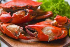 Pecinta Seafood Wajib Coba, 5 Manfaat Kepiting Nutrisi Penting Untuk Pembuluh Darah
