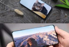 Ayo Intip HP Murah Berlayar AMOLED yang Lagi Jadi Incaran Banyak Orang