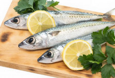 Vitamin D Untuk Kesehatan 5 Manfaat Ikan Sarden Yang Tidak Boleh Dilewatkan