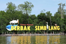 6 Destinasi Wisata Menarik di Taman Nasional Sembilang