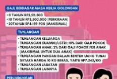 PPPK Berijazah SMA Digaji Setara SD