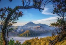 Recomended Banget, Wisata Gunung Bromo Ini Wajib Anda Kunjungi Saat Liburan