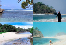 Petualangan Seru di Pantai Pulodoro, Menyelam dan Bersantai di Jember Jawa Timu!
