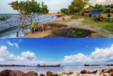 Dari Pantai Cik Puan hingga Hutan Mangrove, Menyambangi Destinasi Wisata Menarik di Dumai!