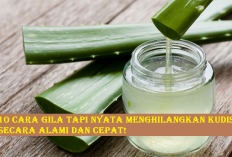 Rahasia Sembuh dari Kudis Tanpa Obat Kimia! Coba 10 Bahan Alami Ini di Rumah!