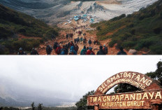 Memiliki Ketinggian 2.665 MDPL, Ini 5 Daya Tarik  Wisata Gunung Papandaya di Jawa Barat