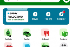 Tertarik Dapat Rp700.000 Secara Instan? Ini Aplikasi Penghasil Saldo GOPAY Tercepat 2025!
