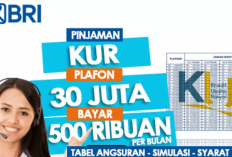 Butuh Modal Bisnis? Pinjam Rp20 Juta, Cicilan Ringan Rp400 Ribu! Cek Cara Cepat Cairnya!