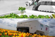 Tanaman Selalu Sehat Berkat Robot Pintar yang Rajin Merawatnya