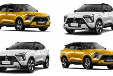 Harga Terbaru ZFORCE Ultimate Mei 2026 Resmi Terungkap: Fitur Makin Canggih, Tapi Harganya Bikin Kaget!