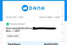 Wajib Dicoba, Nih Game Viral Terbaru, Bisa Hasilkan Saldo DANA Hingga Rp 200 Ribu Perhari!