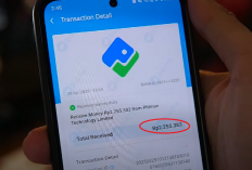 Dibayar Rp2.360.540 Lewat Aplikasi?! Cek Cara Mainnya Sebelum Telat!
