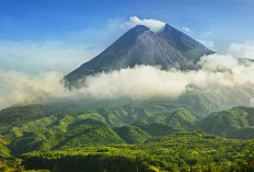 Keindahan Alam di Puncak 10 Gunung Tertinggi Indonesia, Simak! 