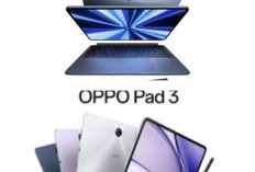 Gak Cuma Menang Layar! Intip Keunggulan OPPO Pad 3: Tablet Paling Balance dengan Kamera Tajam dan Baterai Awet