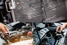 7 Tips Ampuh Cegah Radiator Mobil Rusak karena Panas Berlebih Yang Wajib Kalian Ketahui!